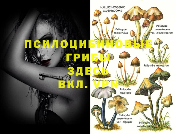 спайс Балабаново